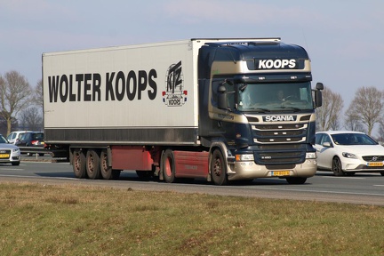Wolter Koops 89-BDD-6
